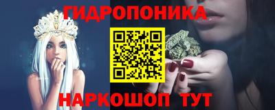 индика Партизанск