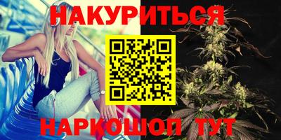 индика Партизанск
