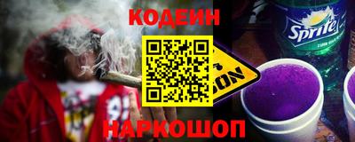 индика Партизанск