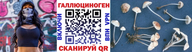 Псилоцибиновые грибы Psilocybe  omg сайт  Южноуральск 